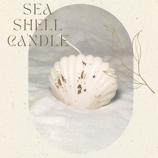Sea shell scented candle